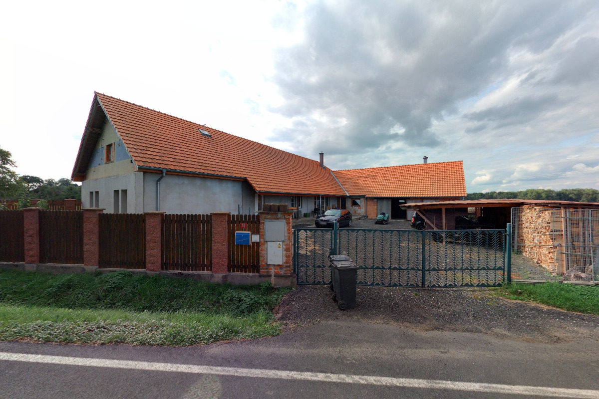 Výcvik psů Chlístovice