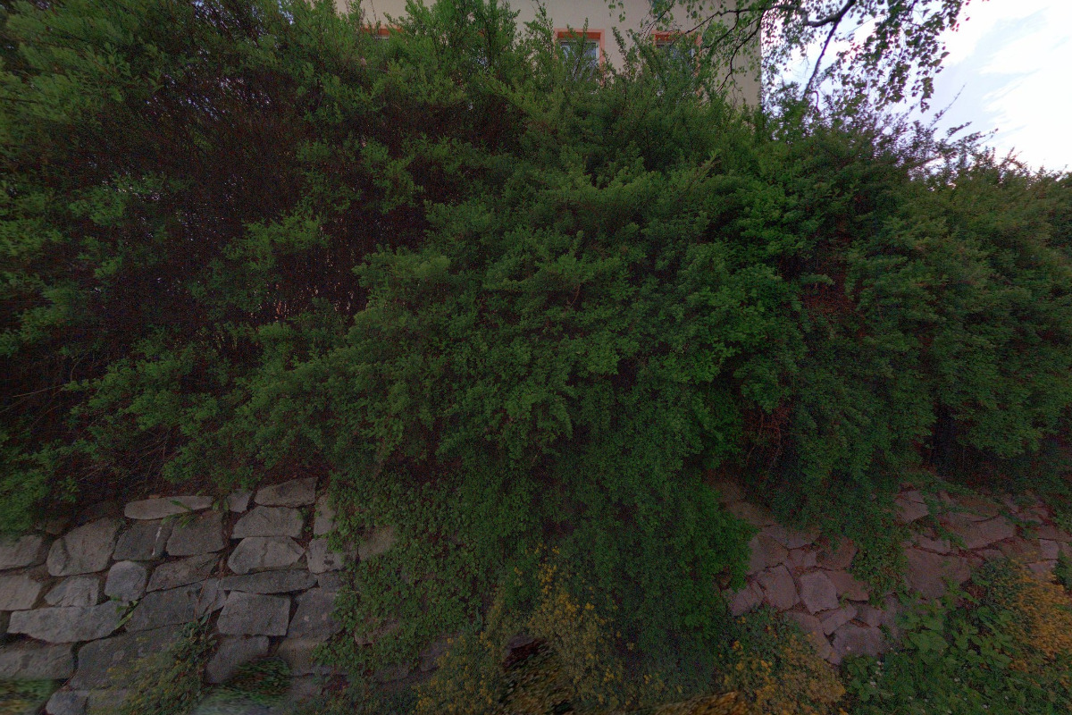 ZŠ Bohousová foto 2