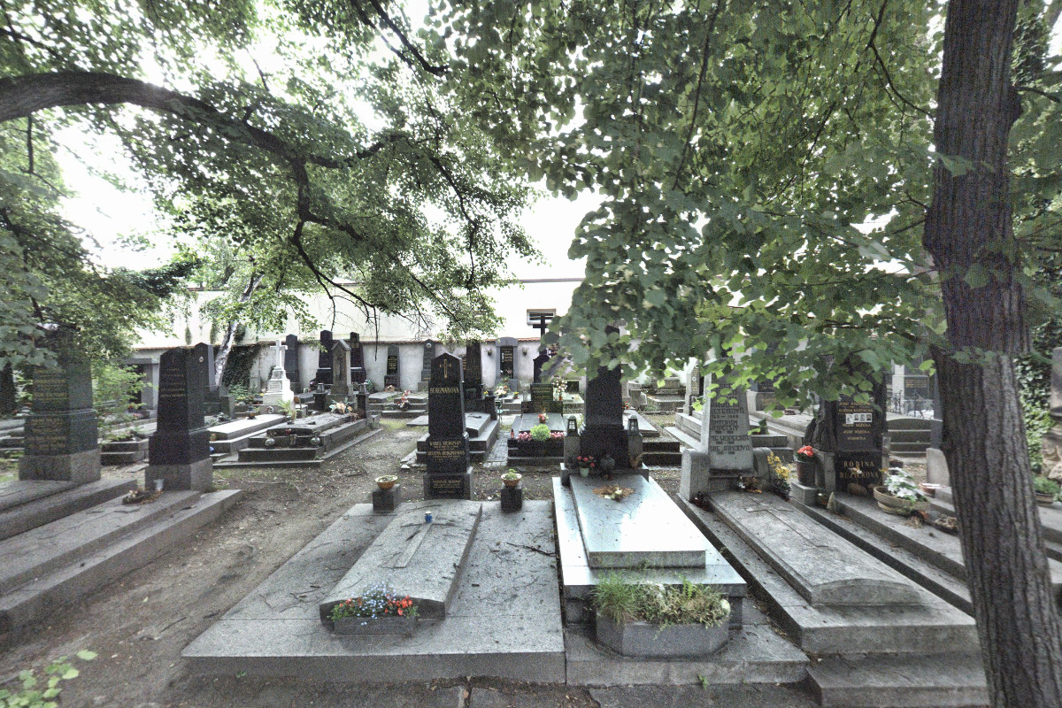 Daruj Květiny Olšany foto 3