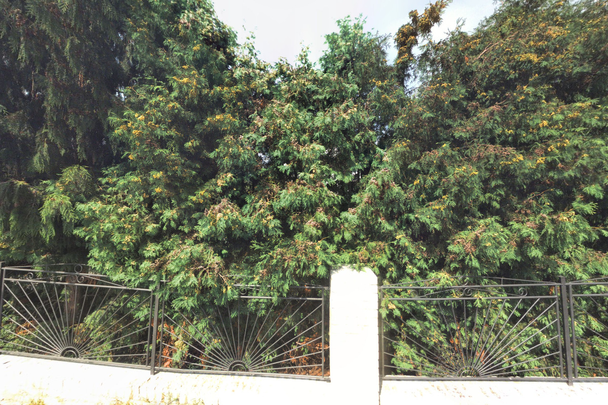 AUTRIO stavební, s.r.o.