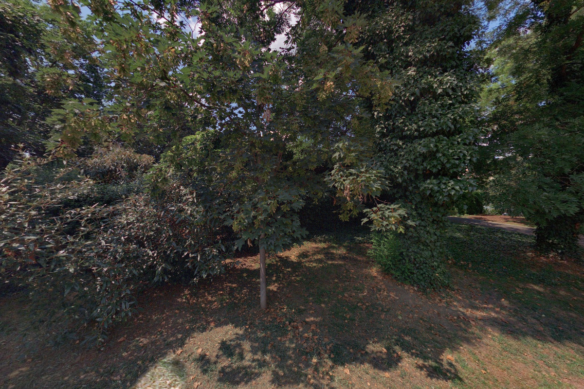 JENA - firma služeb