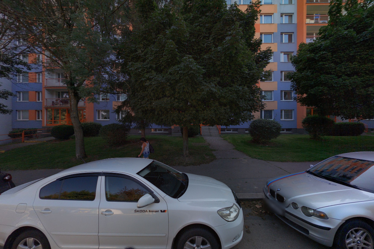 Malířské práce Tomáš Žitný foto 3