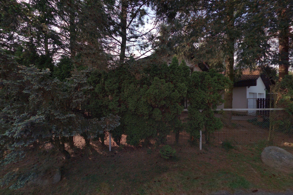 Německý ovčák v nouzi, z.s. foto 2