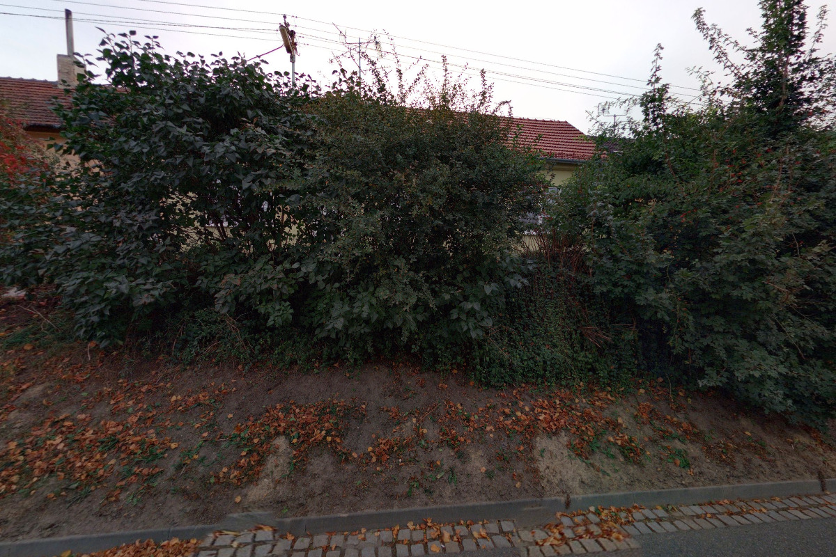 R&R MUDr.Ota Riebel CSc.