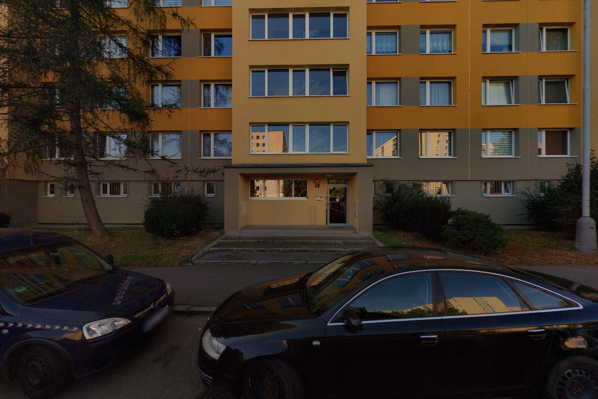 Dogi.cz foto 2