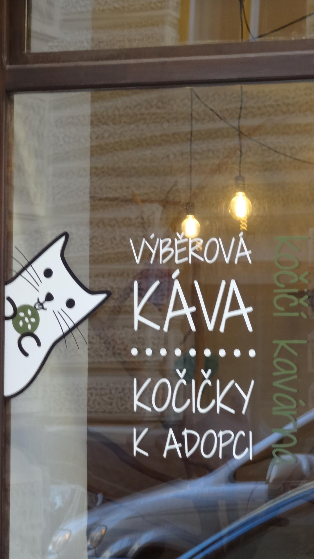 Pelíšek - kočičí kavárna foto 4