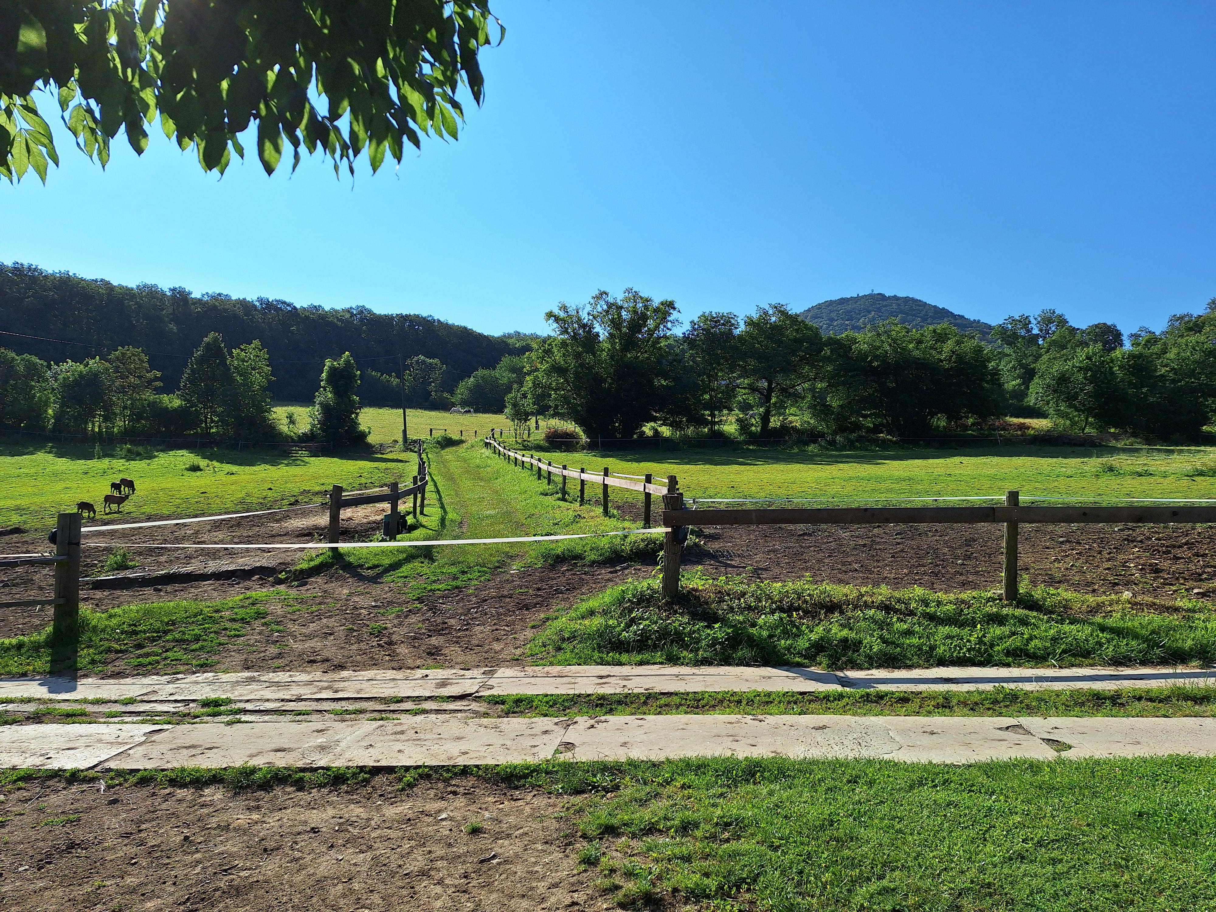 Ranč pod Lovošem, s.r.o. foto 4