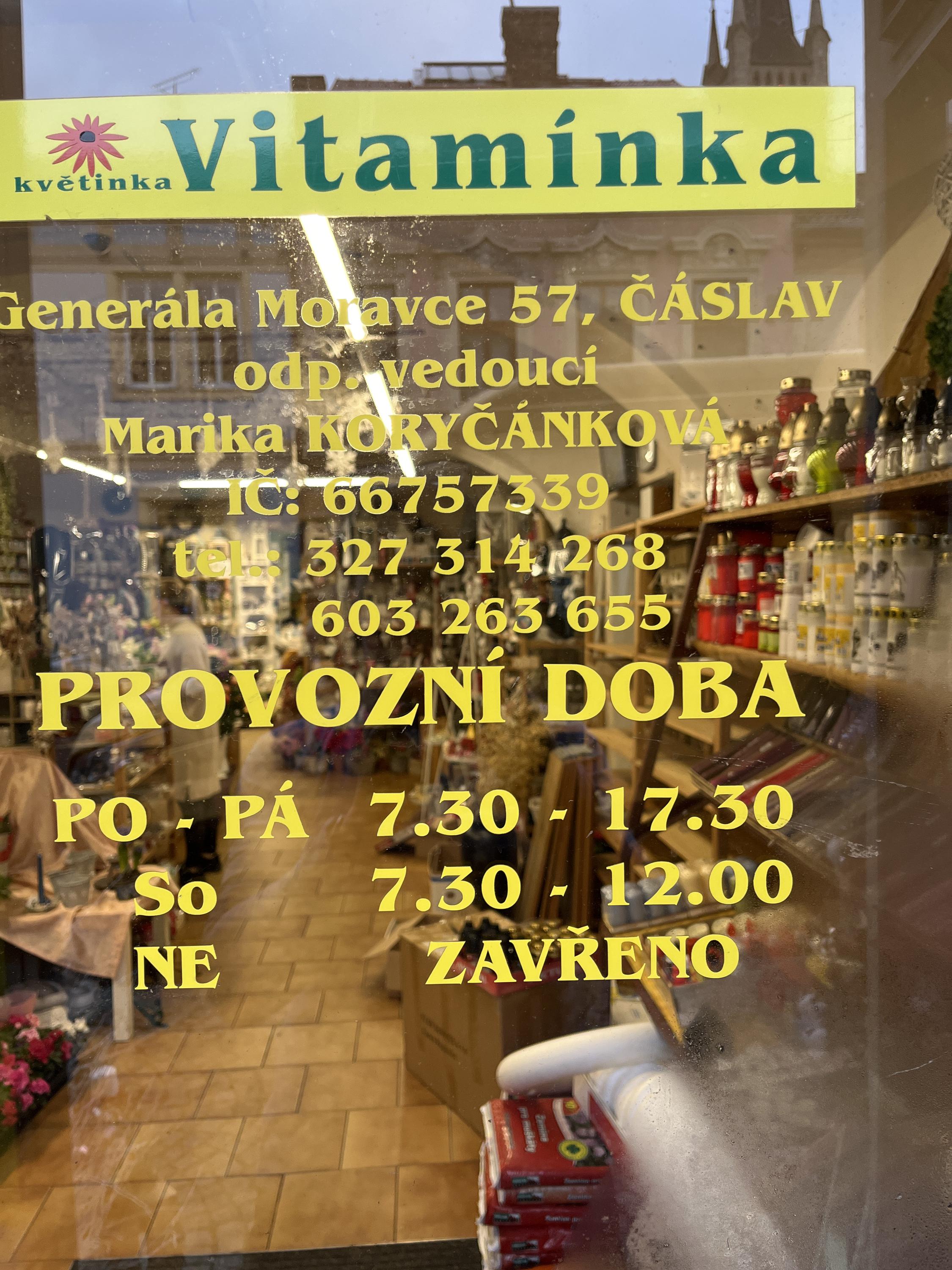 Květinka Vitamínka foto 2