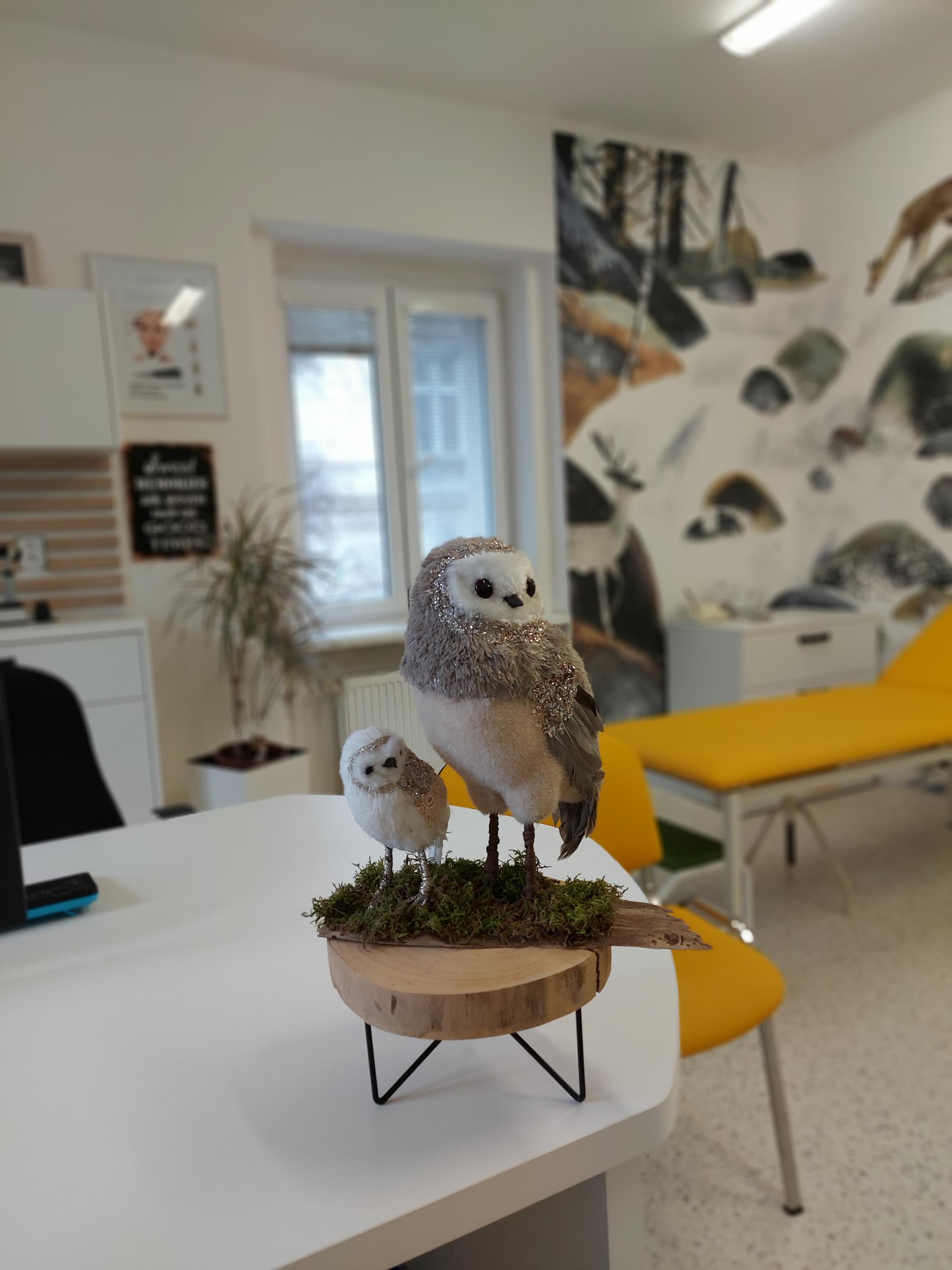 Dermatovenerologická ambulance Lovosice, s.r.o. foto 6