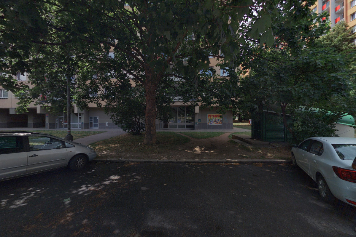 Ing. Bohuslav Rosenkranz,CSc. foto 2