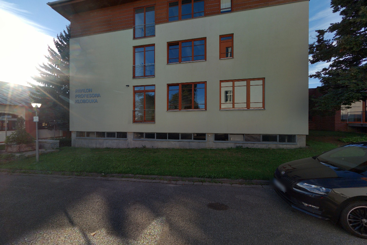 Veterinární univerzita Brno - Klinika chorob koní / Equine Clinic