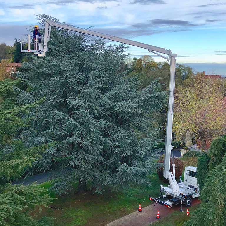 JUMAzeleň - Komplexní péče o zeleň foto 3