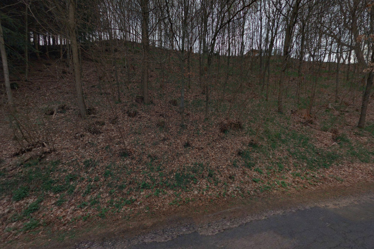 Ubytování Rajka foto 1