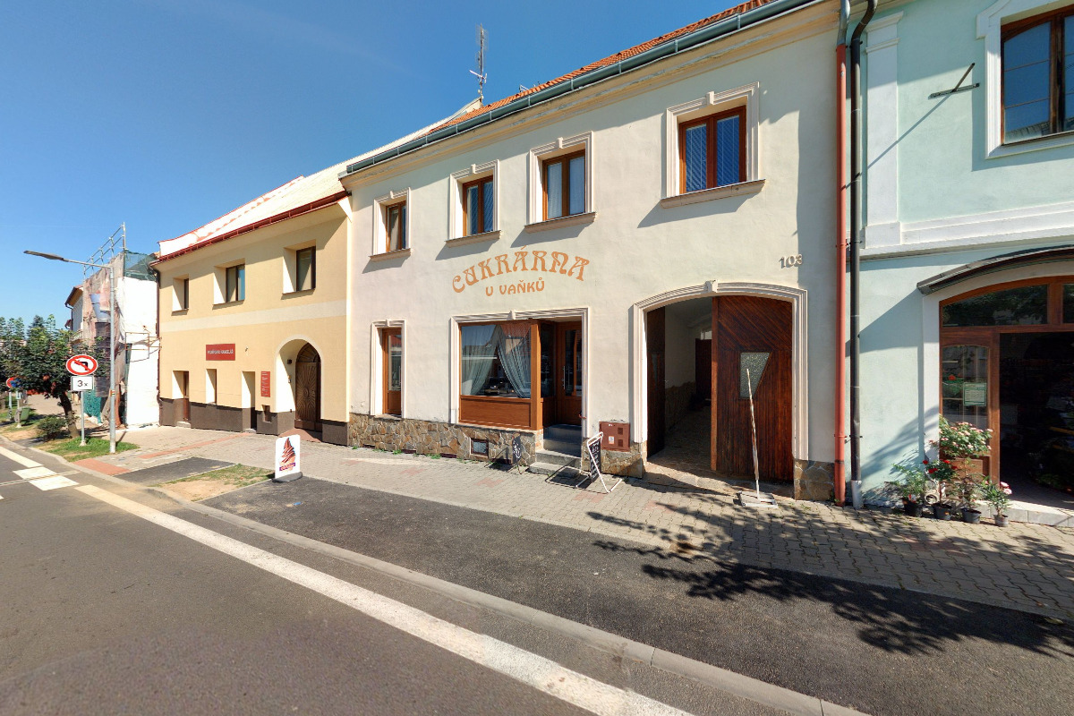 Tradiční čínská medicína - Veronika Sofie Brahma