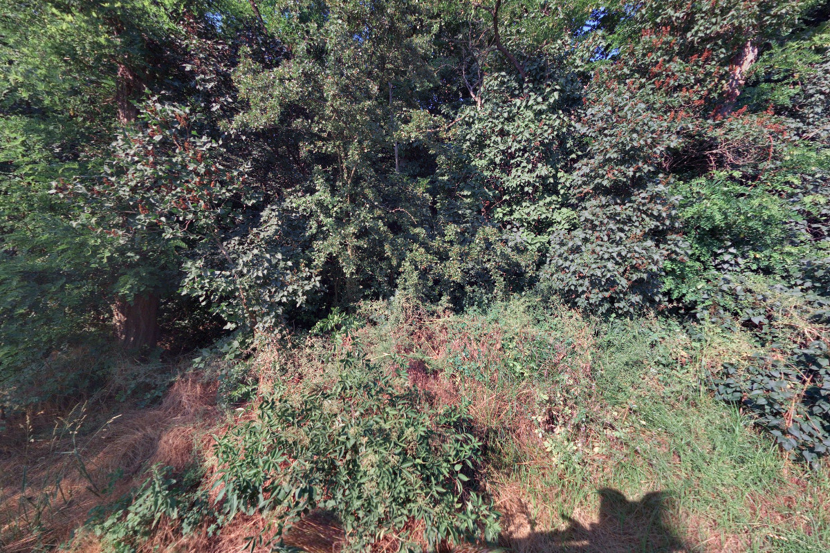 Provideo - Roman Kučera