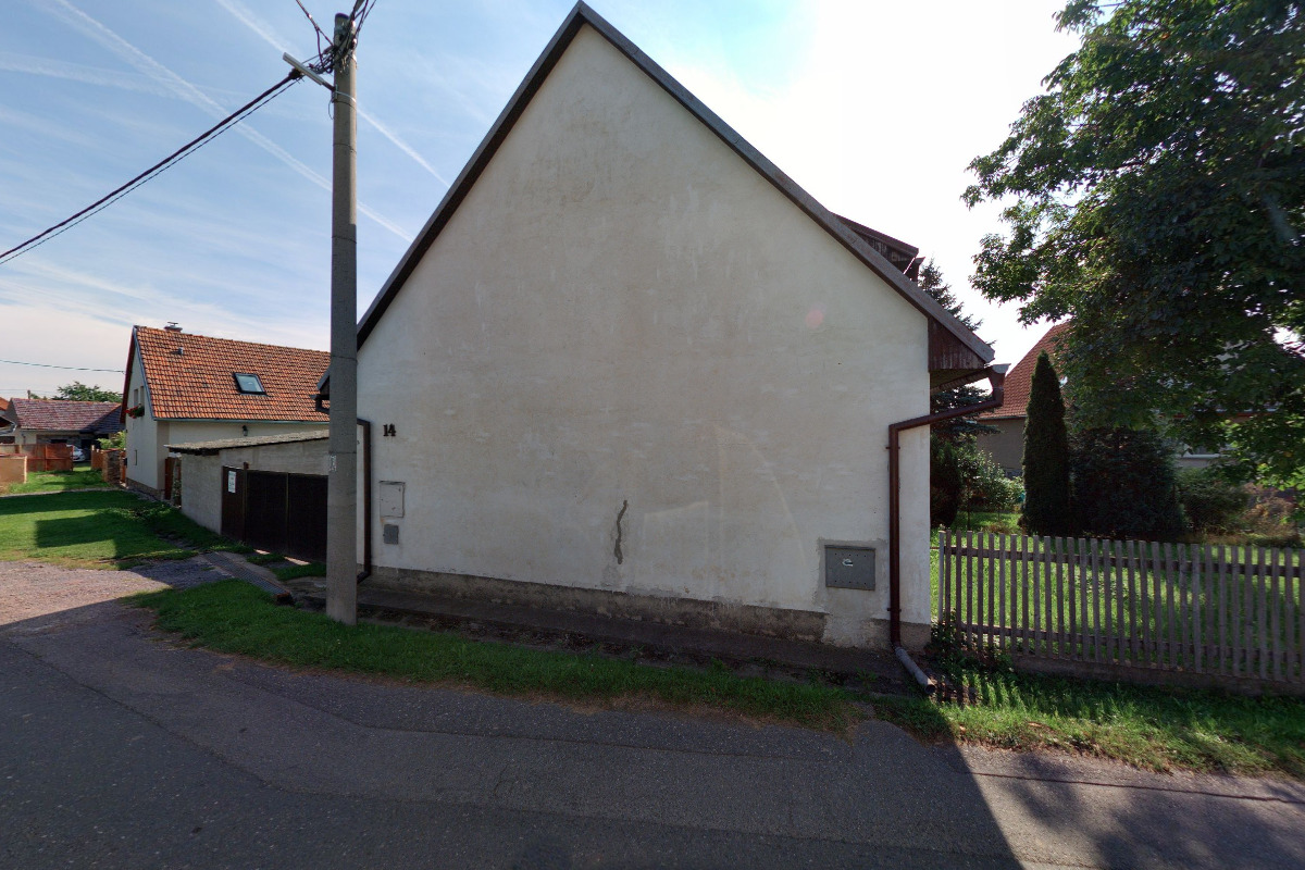 Kineziologie - Alena Mlýnková