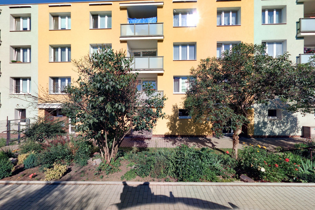 Daniela Ester Sivanová - Soccer Reality