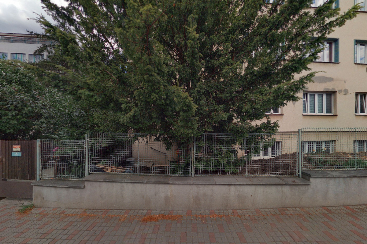 Pavel Pithart - Elektrikář