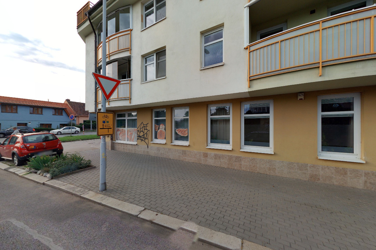 MUDr. Sylva Štěrbová