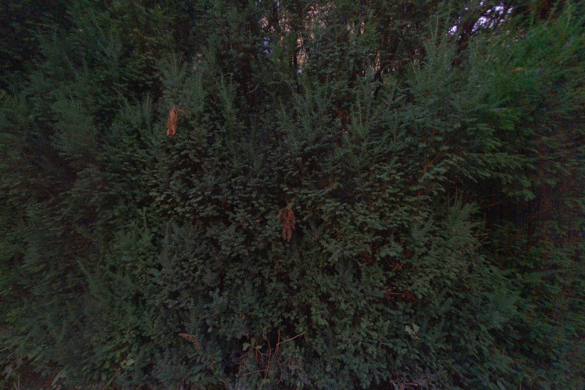 Kasper Business Solutions, s.r.o.