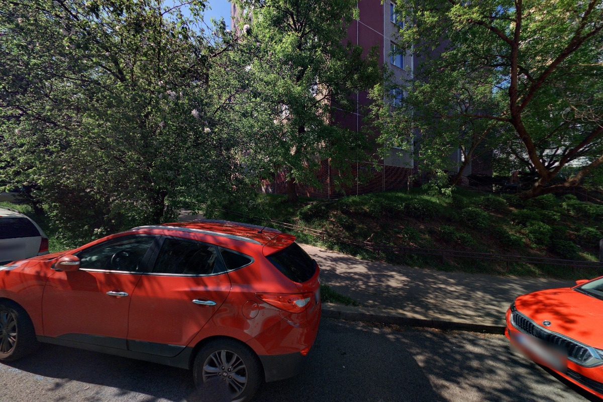 Michal Kandus Kanfas