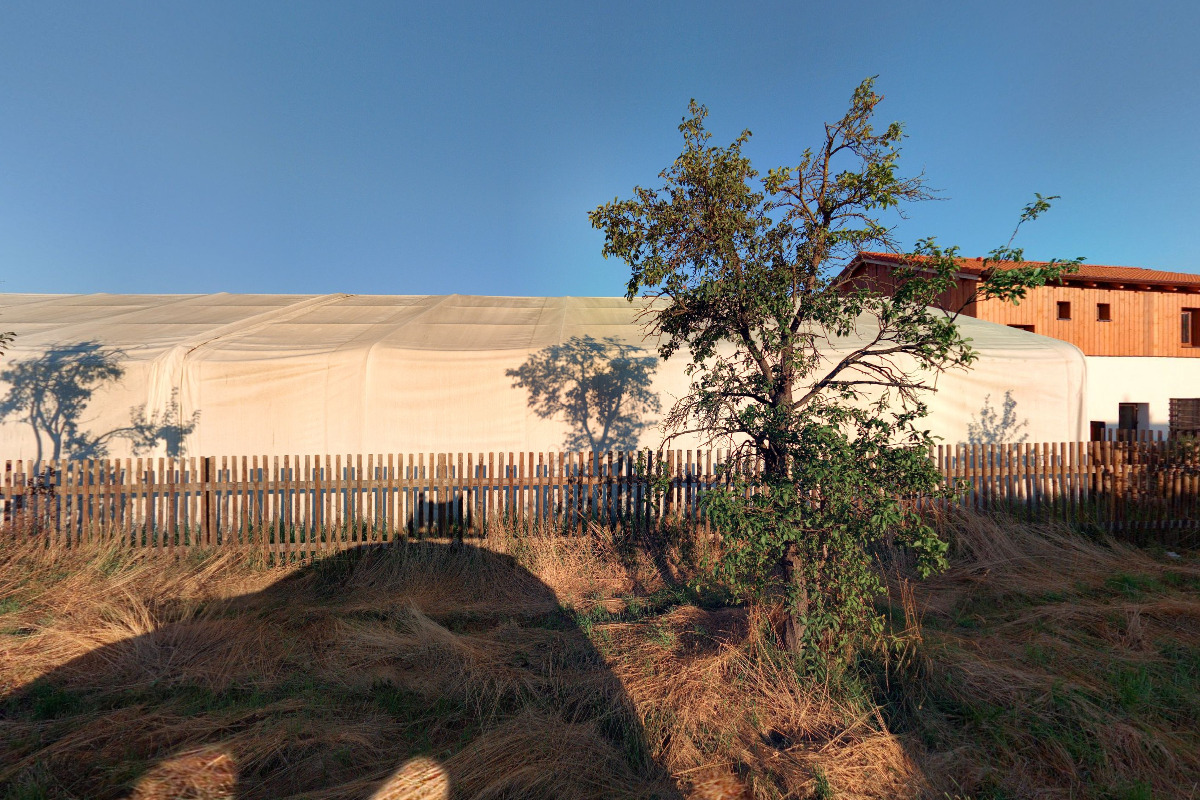 Bc. Eliška Kozáková - zahradnictví