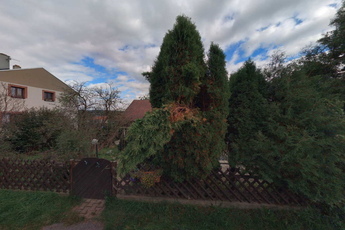 Cvičení pro děti Sevaldová