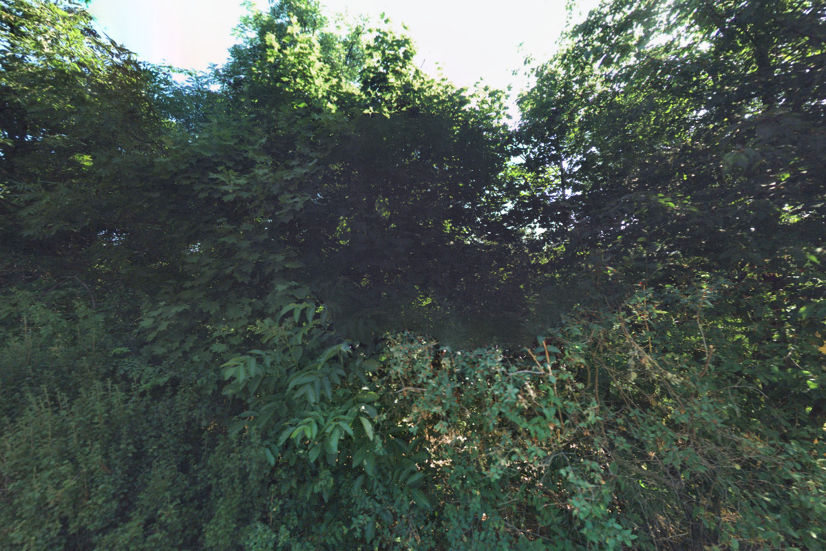 MUDr. Iva Lubasová foto 2