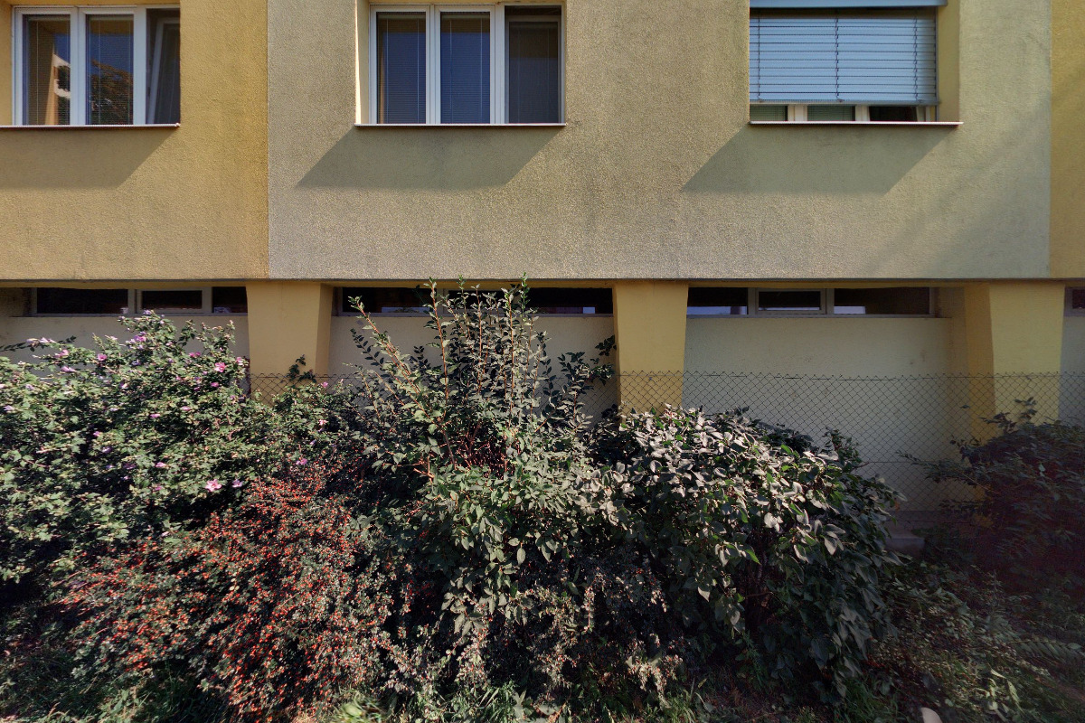 Ing. Blanka Lenochová