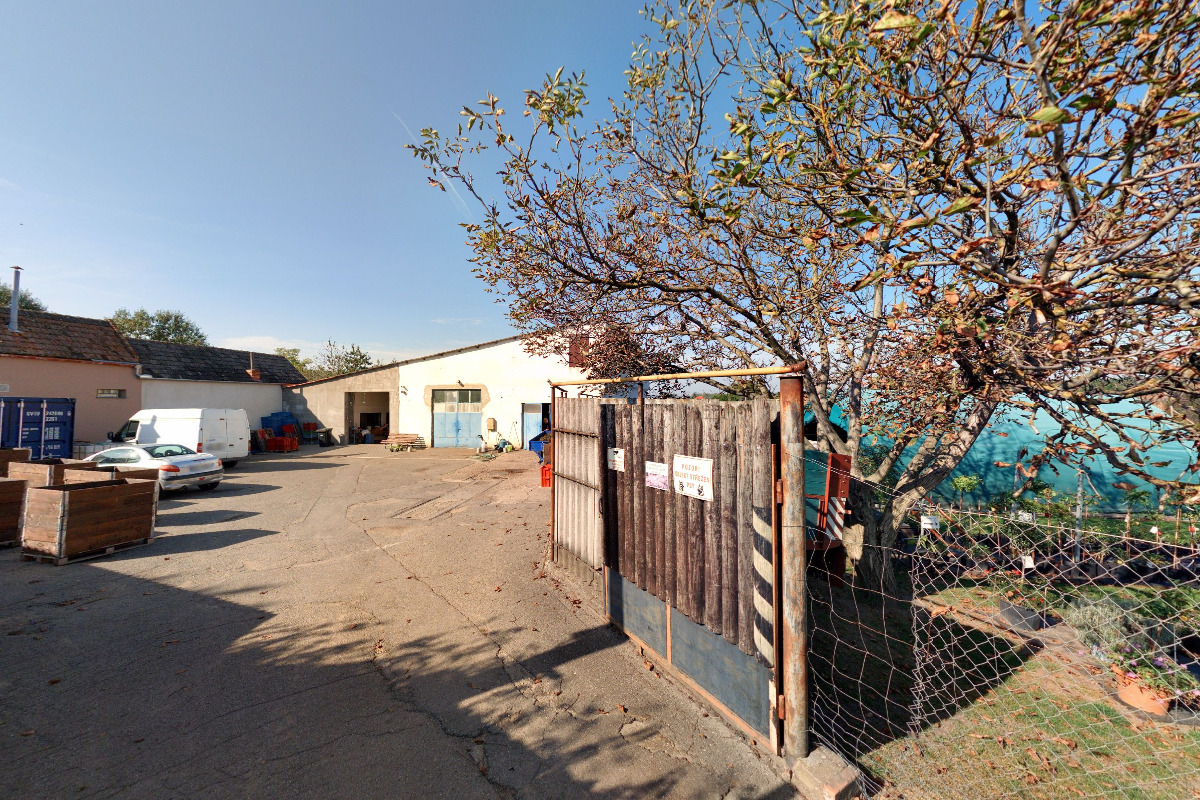 Ovocné sady a okrasné školky Čejč foto 6