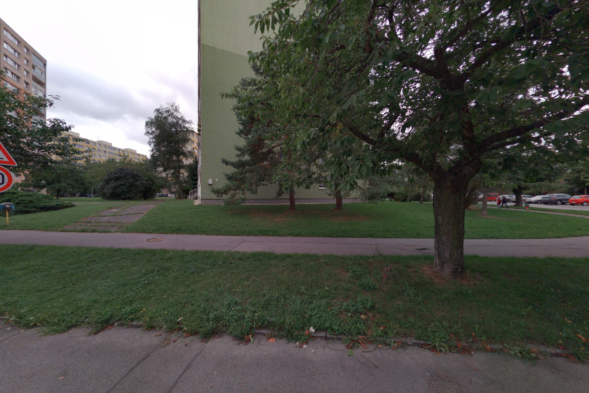 Václav Šiml - malířství