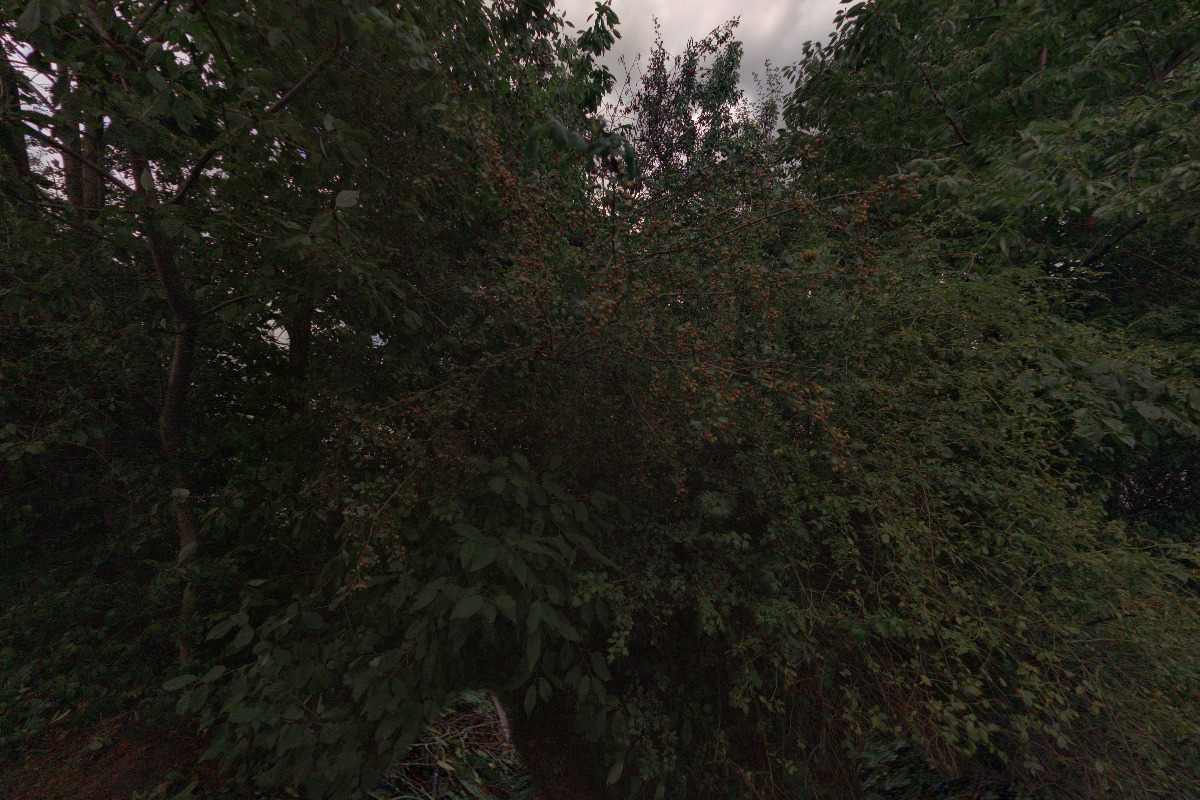 Pražské betonpumpy a doprava, s.r.o. foto 3