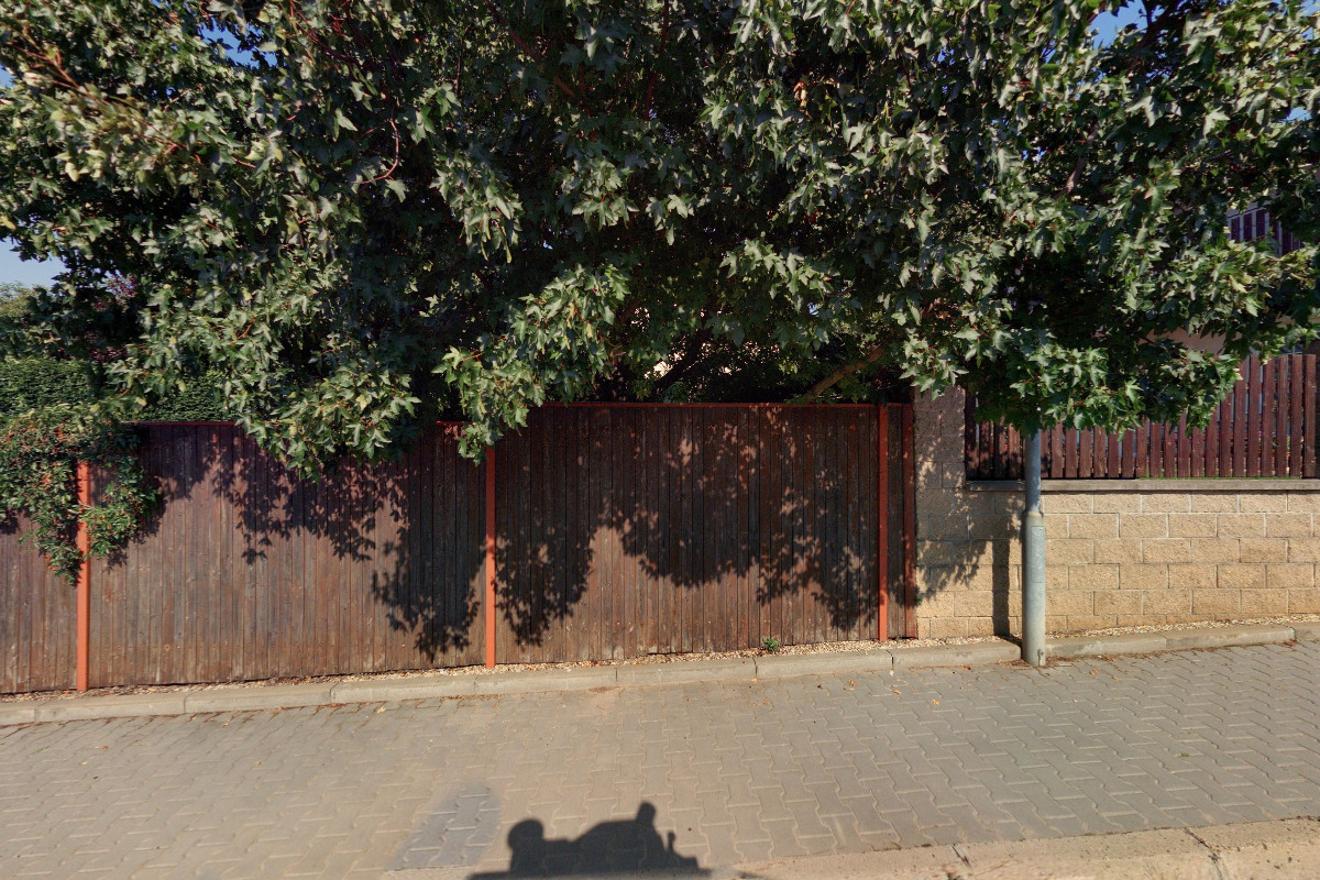 ALENINA - angličtina