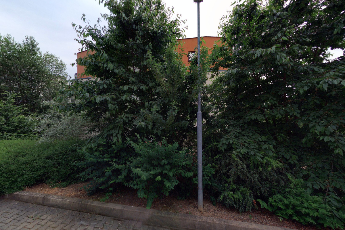 Ing. Jiří Petr Žvachta foto 1