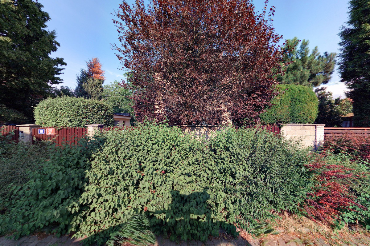 Prof. MVDr. František Jelínek CSc., ECVP foto 2