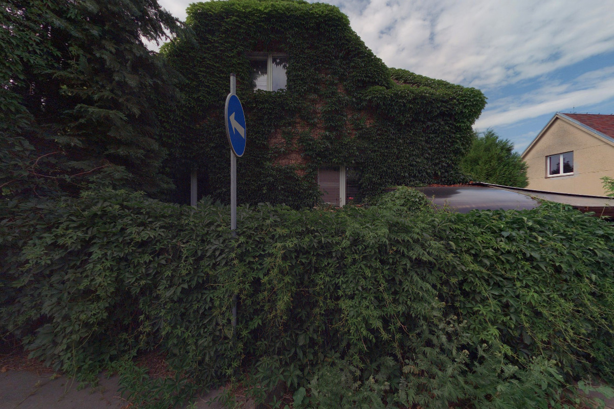 Zorka Machálková foto 2