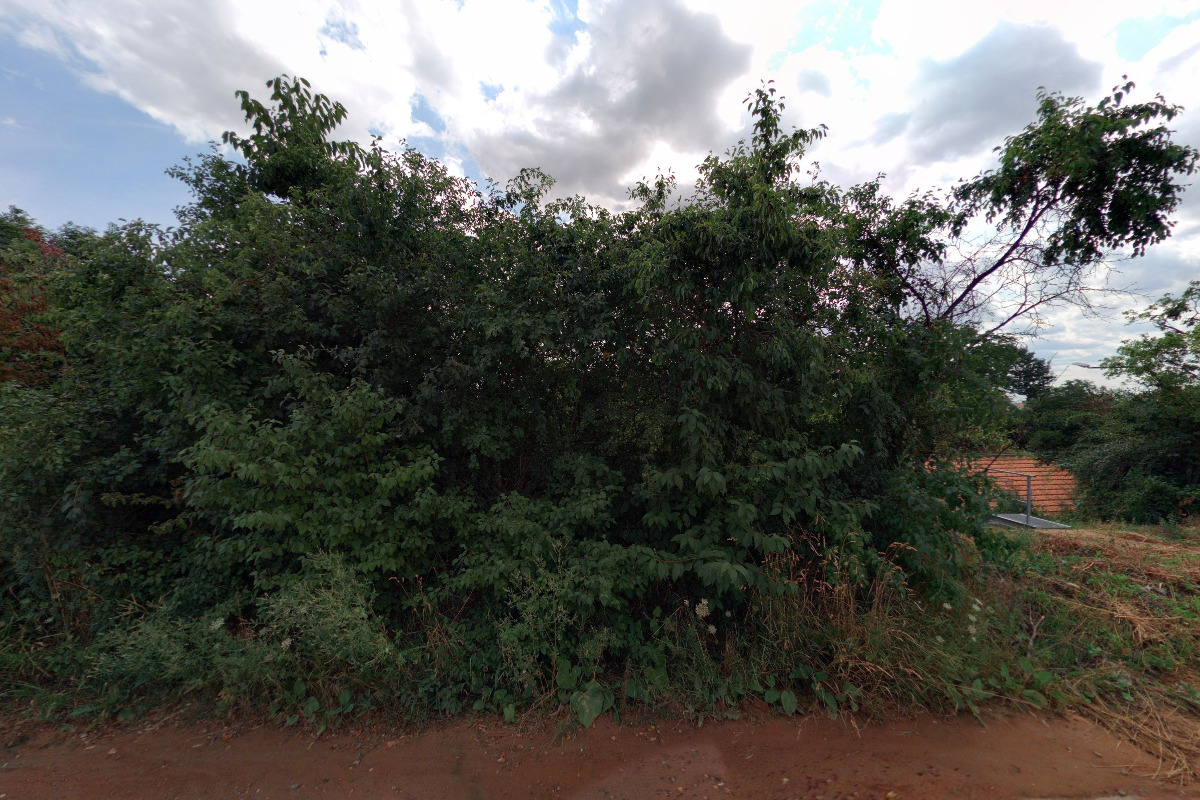 Kynologický klub Šlapanice ZO 10302 Moravskoslezského kynologického svazu