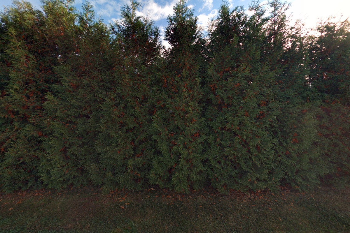 WINCORP AGRI, spol. s r.o. foto 2