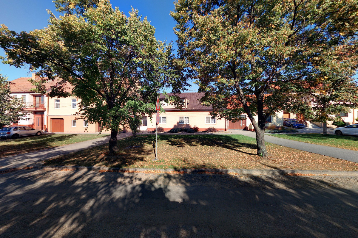 Zednické práce - Václav Bystrzonovský