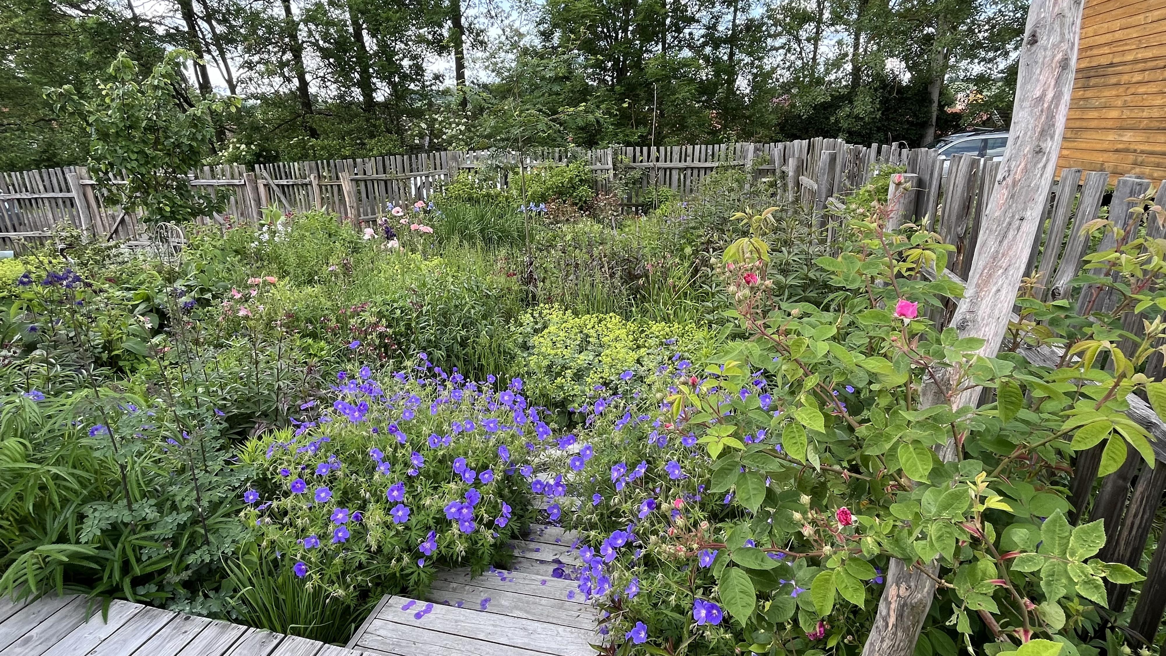 Beryvzahrade - Eva Beránková foto 6