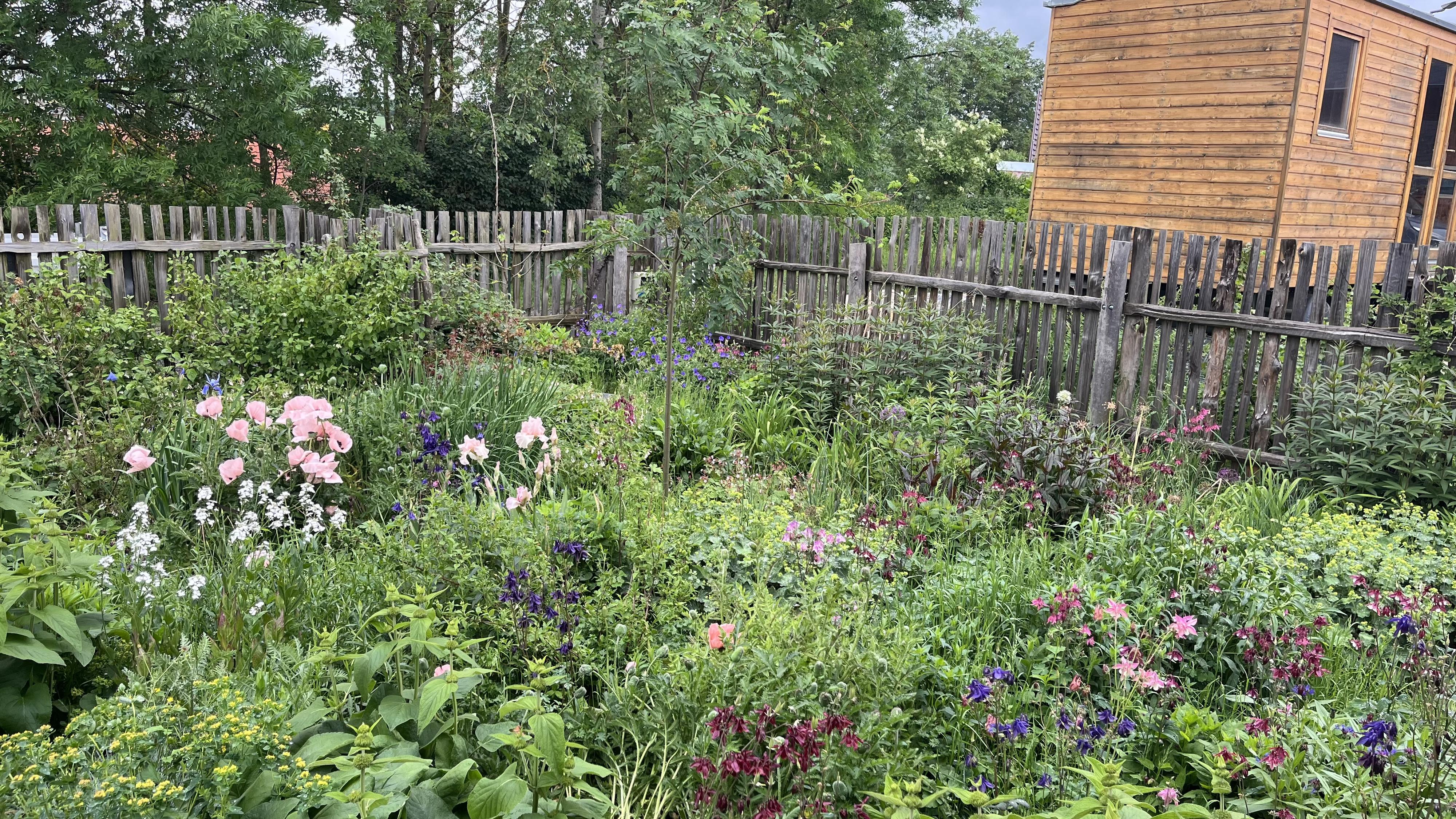 Beryvzahrade - Eva Beránková foto 4