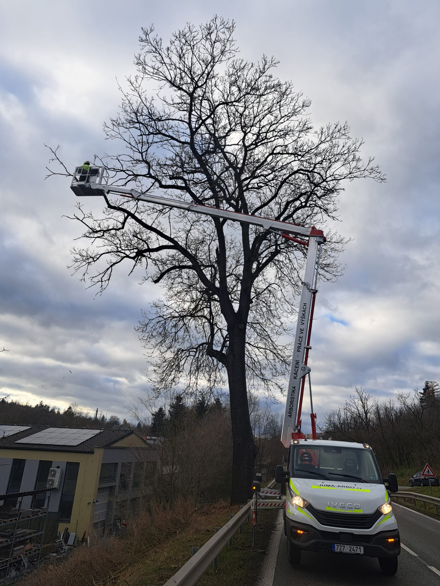 JUMAzeleň - Komplexní péče o zeleň foto 6