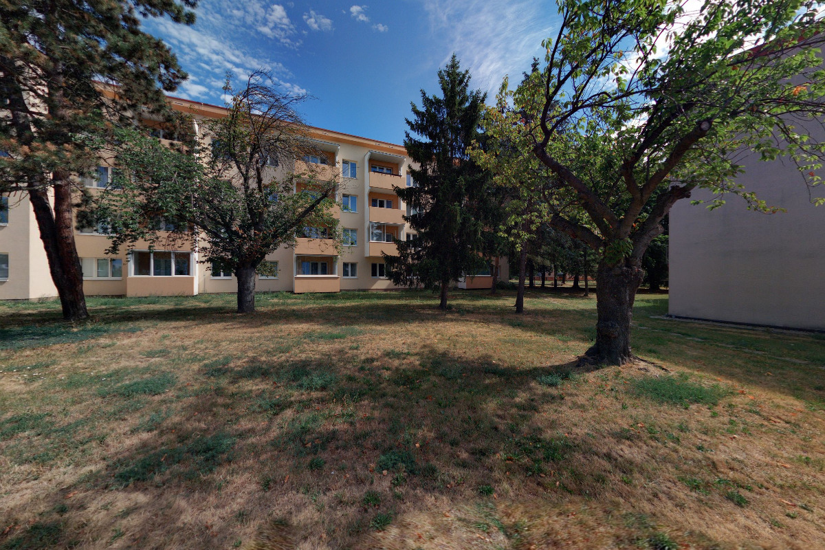 František Liška foto 2