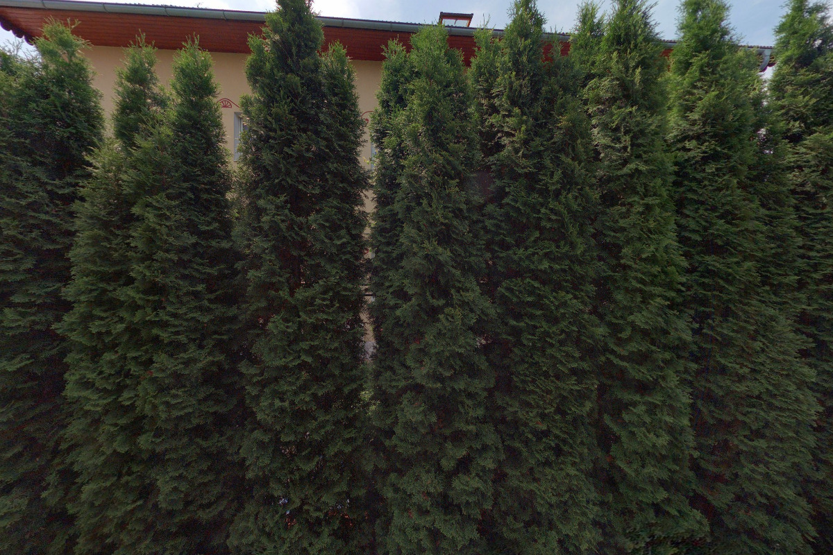 Apartmán Nedvědova