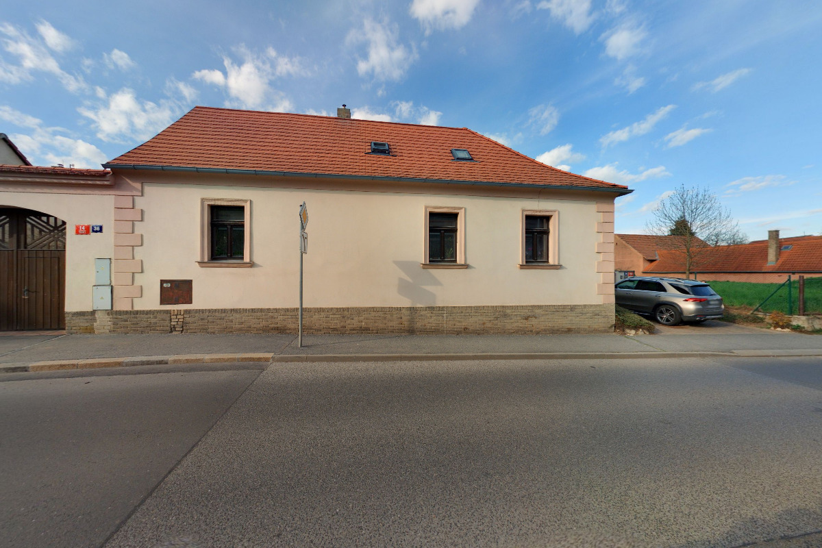 Reckyolivovyolej.cz foto 2