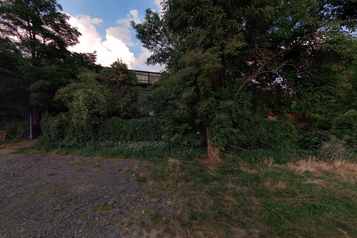 Družstvo fanoušků Bohemians, družstvo