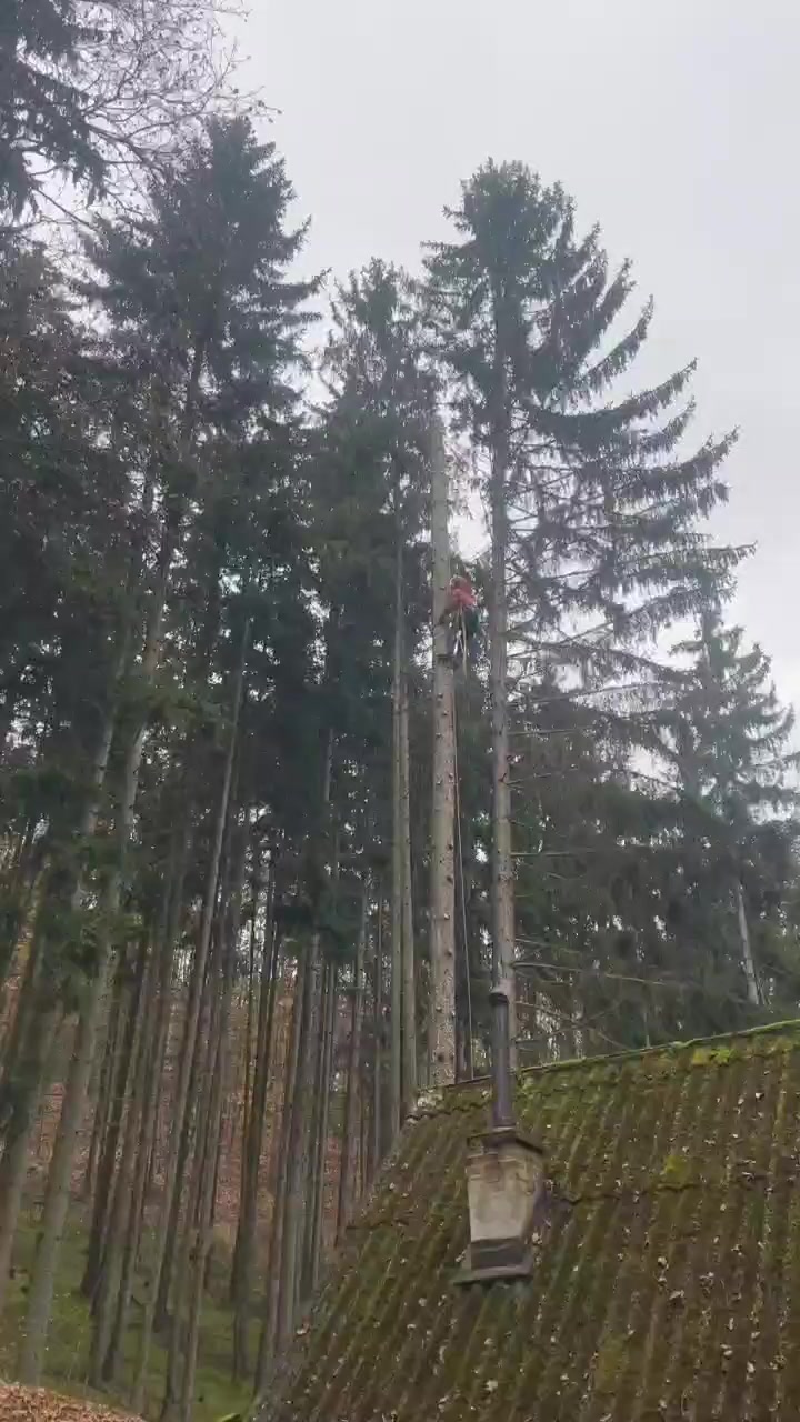 WestArbo foto 2 (náhled videa)