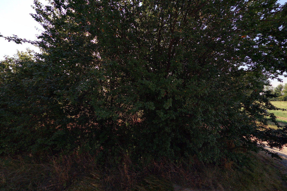 Vysílací středisko Radioklubu OK1KHL Holice