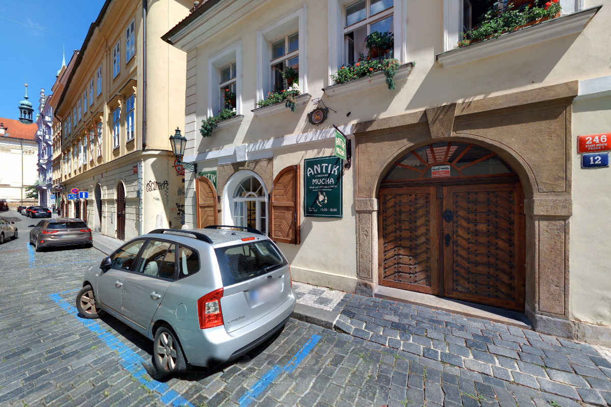 ANIM STAROŽITNOSTI MUCHA foto 2