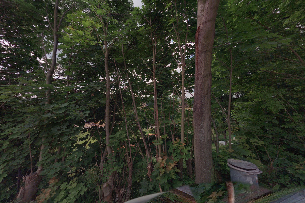 SOCIAL MEDIA & ADVERTISING 4 YOU, s.r.o. foto 1